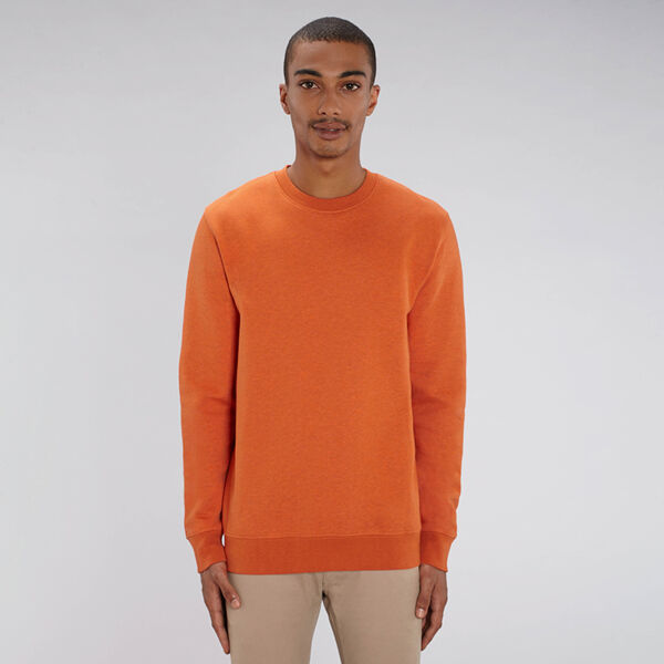 Unisex Changer iconic crew neck sweatshirt (STSU823) Thumbnail