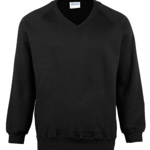 Coloursure™ v-neck sweatshirt