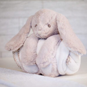 Rabbit and blanket