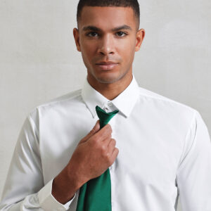 'Colours' satin clip tie