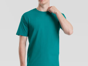 Iconic 195 ringspun premium T