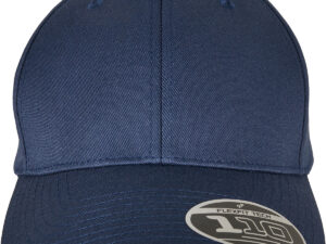 Flexfit 110 curved visor snapback